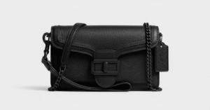 Tabby Coach Wristlet: The 5 Best Ways to Wear It Now